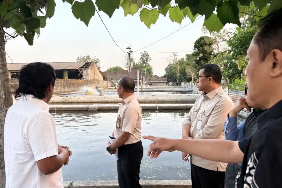 ekspor ikan patin - ilustrasi berita Kemenhaj RI Siapkan Akses Ekspor Ikan Patin Tulungagung untuk Pasokan Haji 2027