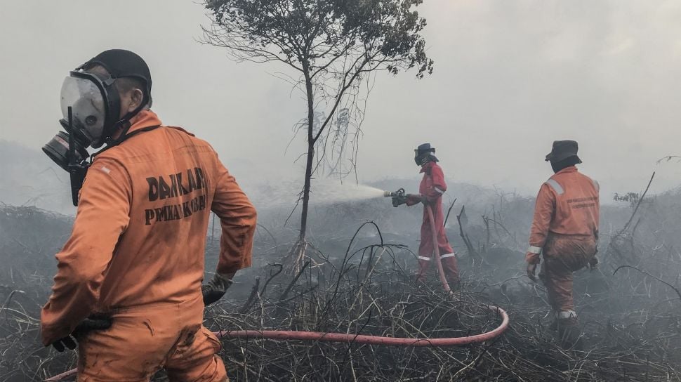 kebakaran gambut aceh - ilustrasi berita Kebakaran Gambut Aceh di Trumon Timur Meluas hingga 25 Hektare, Api Belum Padam