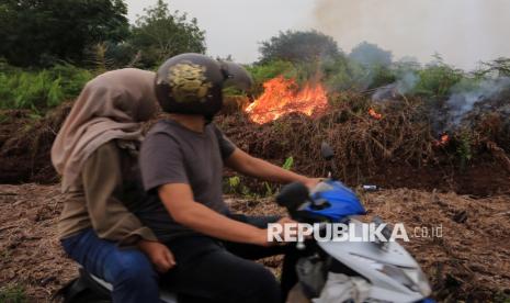 kemarau panjang - ilustrasi berita Sorotan Baru Seputar Kemarau Panjang yang Menarik Perhatian