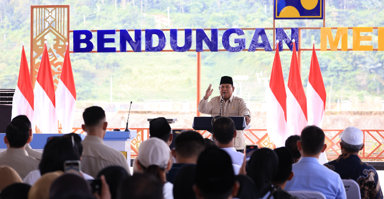 ketahanan pangan - ilustrasi berita Prabowo Resmikan Lima Bendungan, Perkuat Ketahanan Pangan Nasional