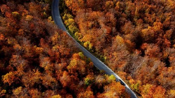 risiko berkendara - ilustrasi berita Berencana Road Trip ke Luar Negeri? Kenali 10 Negara dengan Risiko Berkendara…