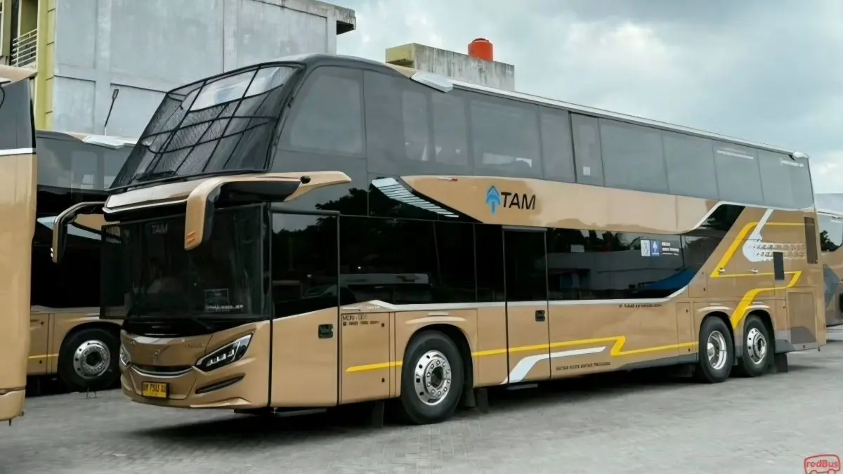 bus medan pekanbaru - ilustrasi berita 5 Pilihan Bus Medan Pekanbaru dengan Tarif Mulai Rp275 Ribu