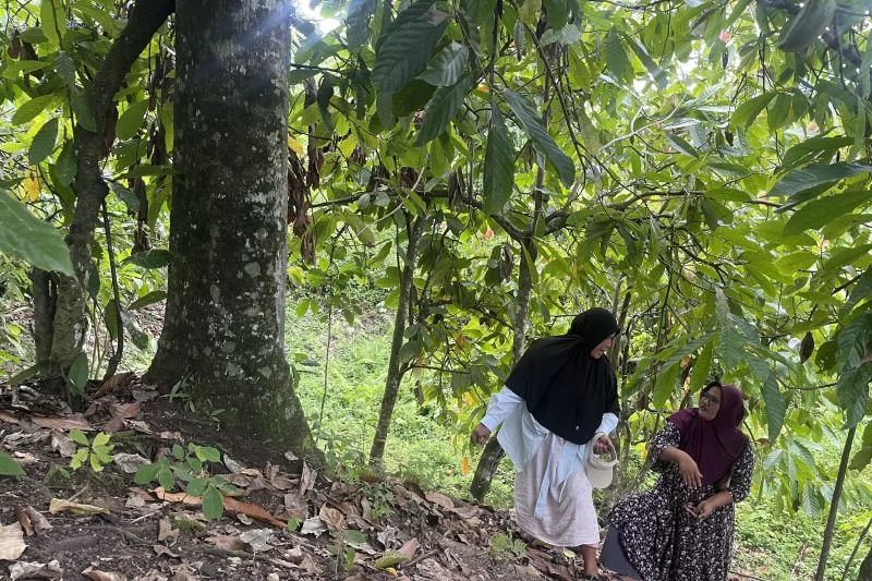 izin tambang - ilustrasi berita Warga Beutong Ateuh Resah karena Izin Tambang Diterbitkan Saat Pemulihan dari Banjir…