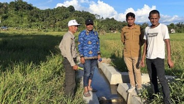 pemulihan sawah - ilustrasi berita Sorotan Baru Seputar Pemulihan Sawah yang Menarik Perhatian