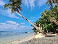 tips karimunjawa - ilustrasi berita Tips Karimunjawa: Permintaan Teks Sumber untuk Menulis Ulang Artikel Karimunjawa